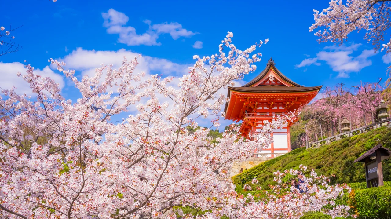 博物館学芸員