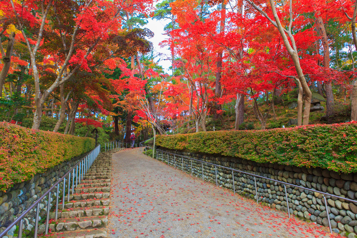 松雲山荘