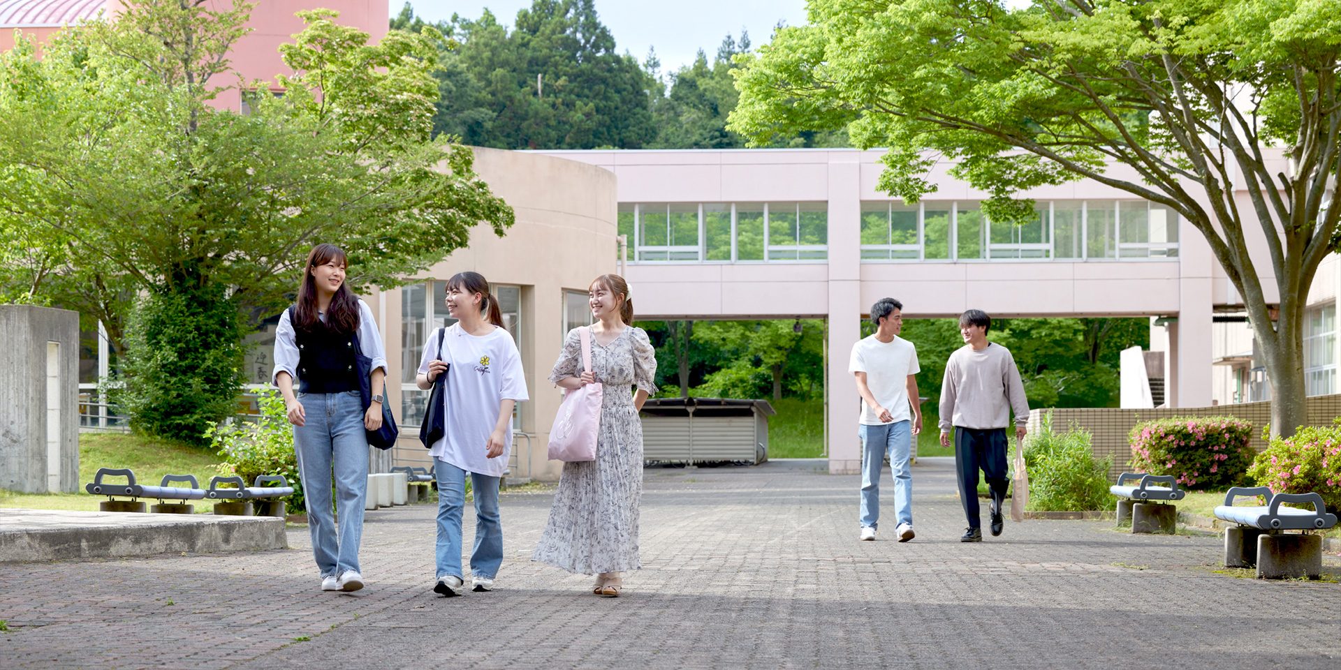 学部・大学院