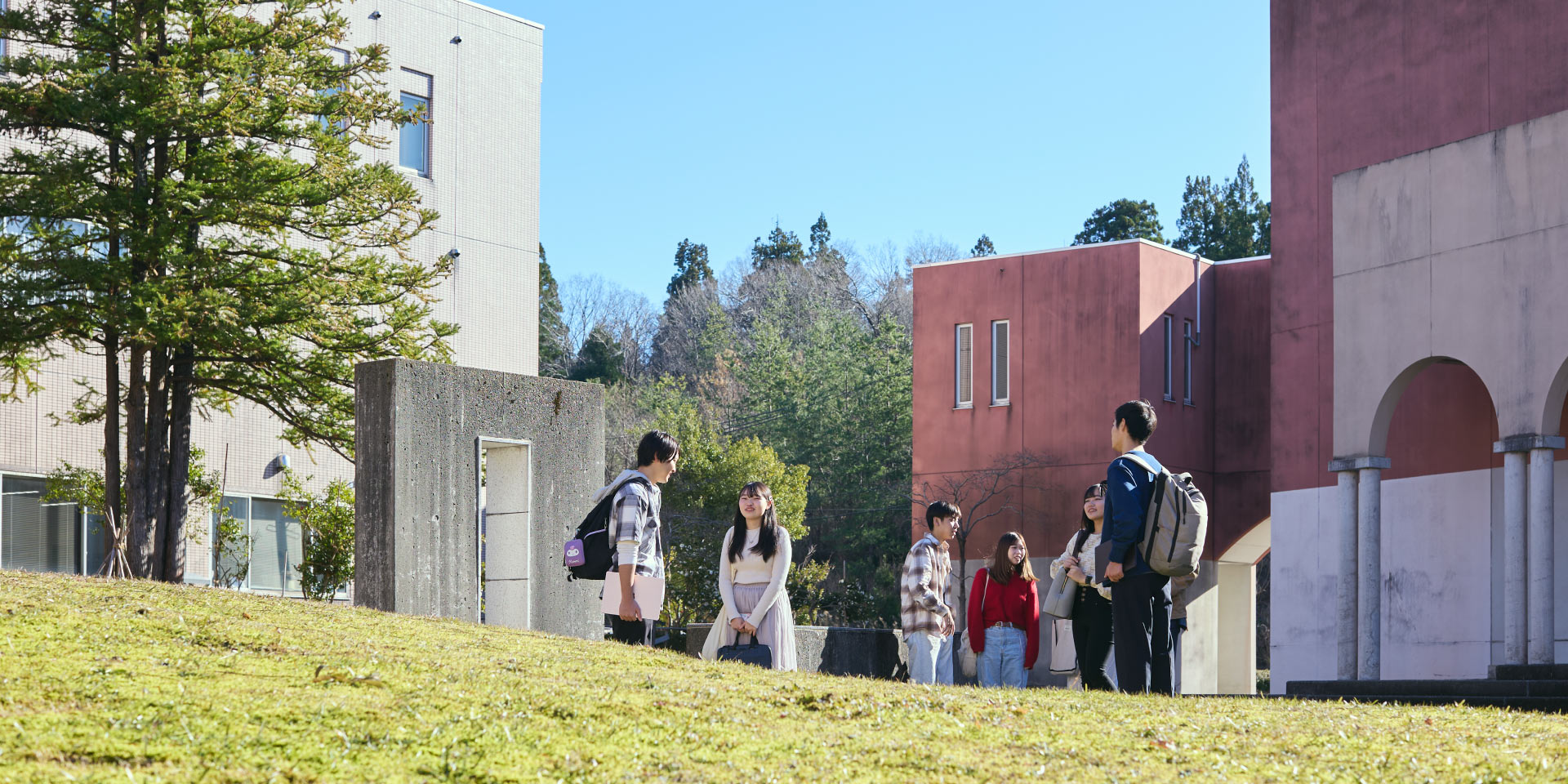 学部・大学院